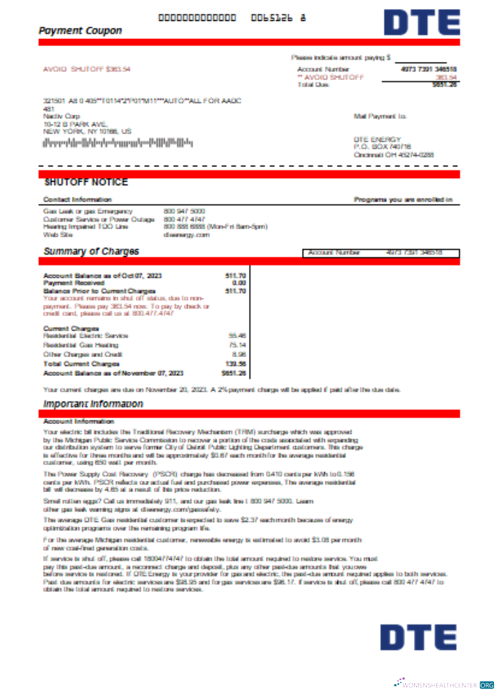 Download Michigan DTE Energy utility business bill, Word and PDF template SCR Photoshop template